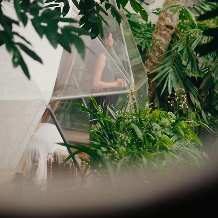 Lintang Luku Tent Resort Ijen, Banyuwangi Banyuwangi  Exteriör bild