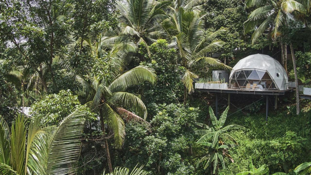Lintang Luku Tent Resort Ijen, Banyuwangi Banyuwangi  Exteriör bild