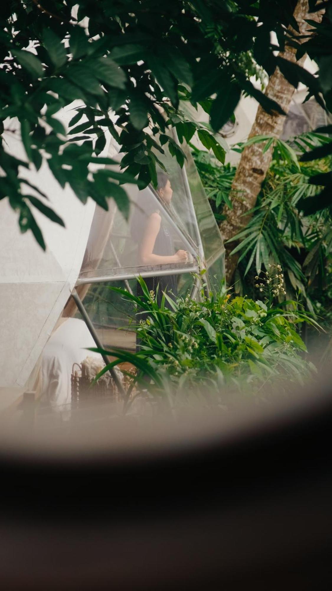 Lintang Luku Tent Resort Ijen, Banyuwangi Banyuwangi  Exteriör bild