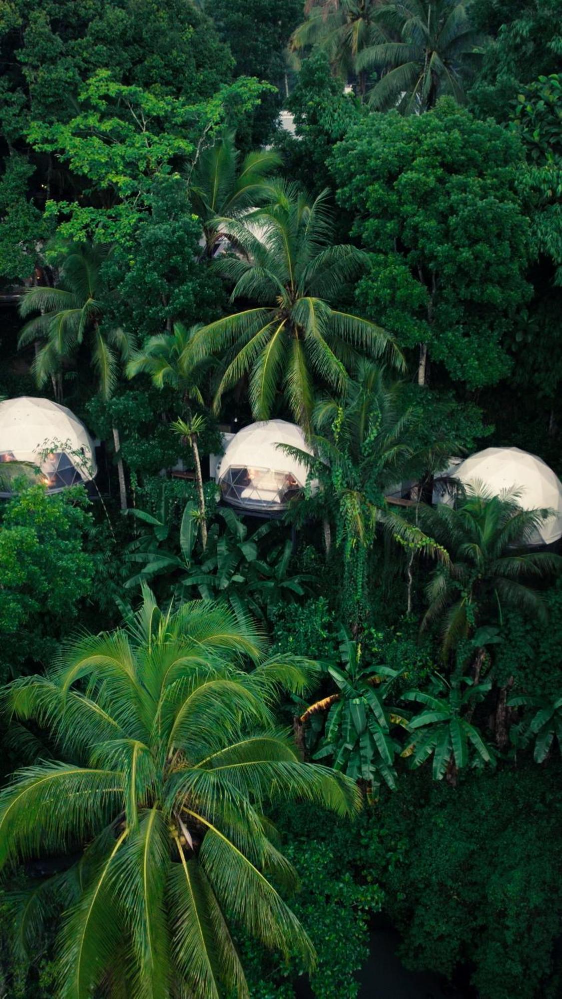 Lintang Luku Tent Resort Ijen, Banyuwangi Banyuwangi  Exteriör bild