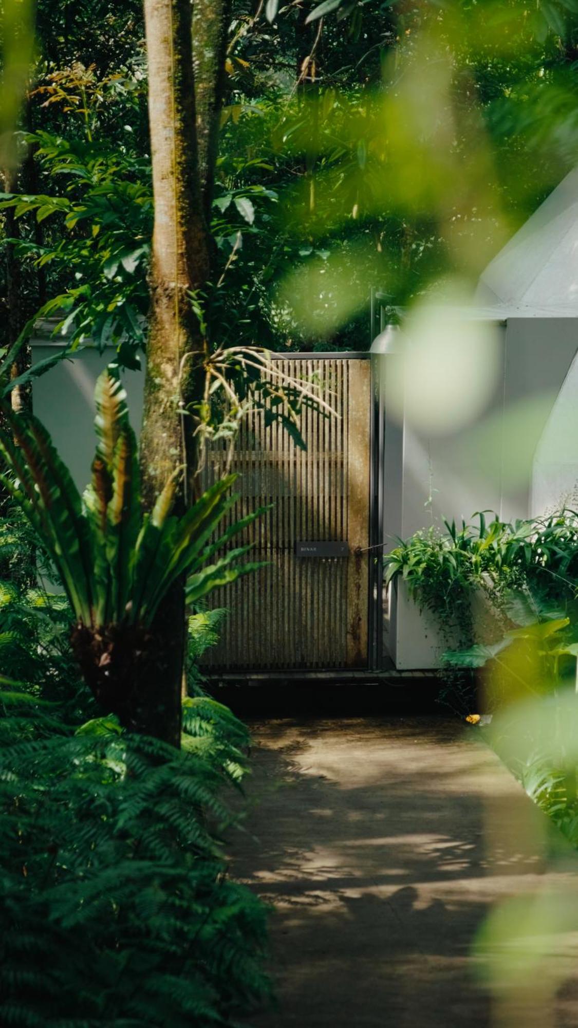 Lintang Luku Tent Resort Ijen, Banyuwangi Banyuwangi  Exteriör bild